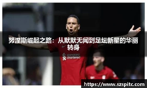 努涅斯崛起之路：从默默无闻到足坛新星的华丽转身