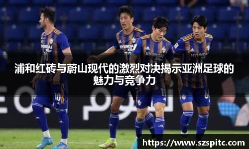 bsports官网入口